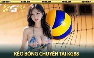 Kèo bóng chuyền